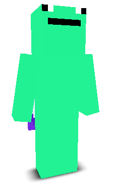 User's Minecraft appearance