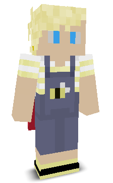 User's Minecraft appearance
