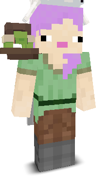 User's Minecraft appearance