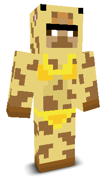 User's Minecraft appearance
