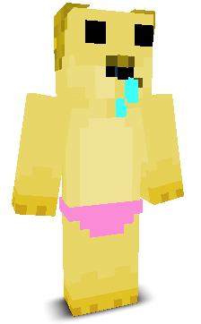 User's Minecraft appearance