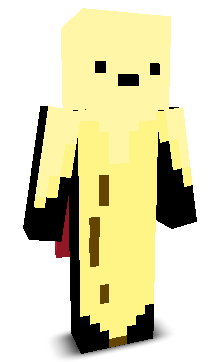 User's Minecraft appearance