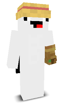 User's Minecraft appearance