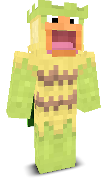 User's Minecraft appearance