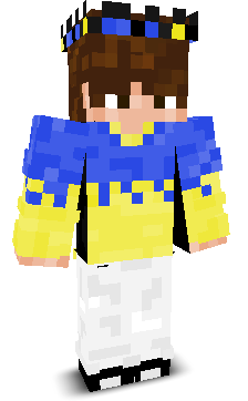 User's Minecraft appearance