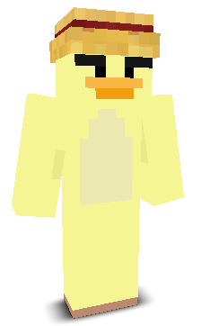 User's Minecraft appearance