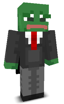 User's Minecraft appearance