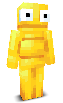 User's Minecraft appearance