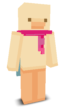 User's Minecraft appearance