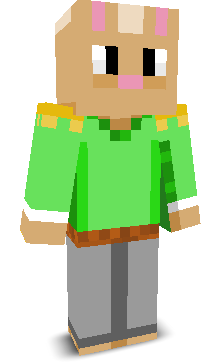User's Minecraft appearance