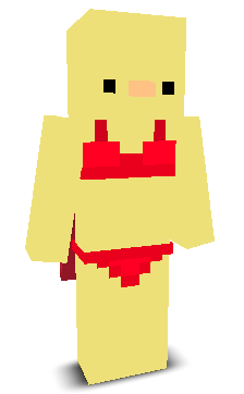 User's Minecraft appearance
