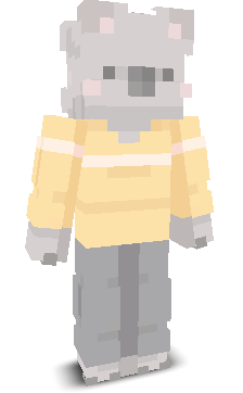 User's Minecraft appearance