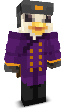 User's Minecraft appearance