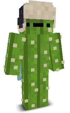User's Minecraft appearance