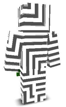 User's Minecraft appearance