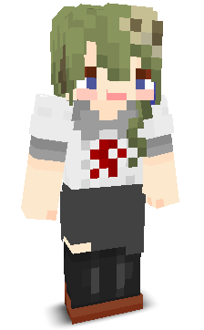 User's Minecraft appearance