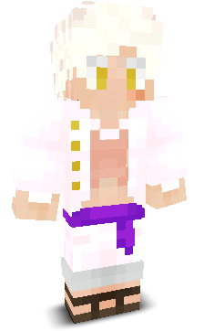 User's Minecraft appearance