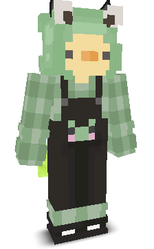 User's Minecraft appearance