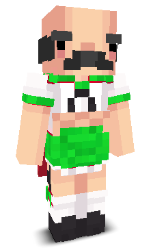 User's Minecraft appearance