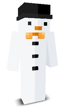 User's Minecraft appearance