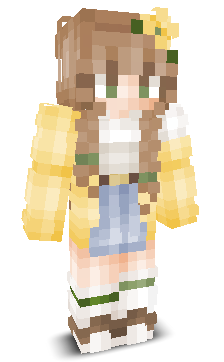 User's Minecraft appearance