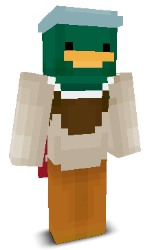 User's Minecraft appearance