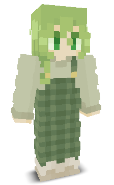 User's Minecraft appearance