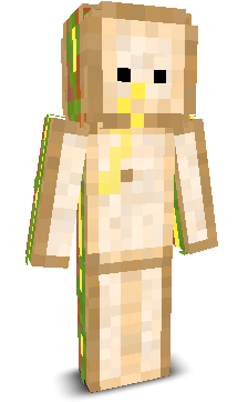 User's Minecraft appearance