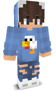 User's Minecraft appearance