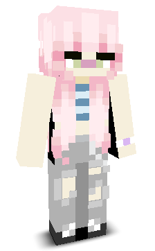 User's Minecraft appearance