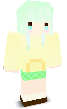 User's Minecraft appearance