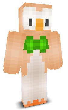 User's Minecraft appearance