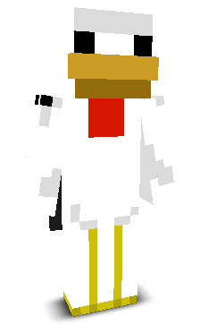 User's Minecraft appearance