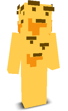 User's Minecraft appearance