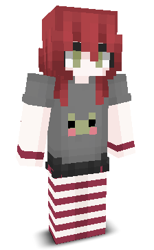 User's Minecraft appearance