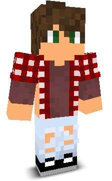 User's Minecraft appearance