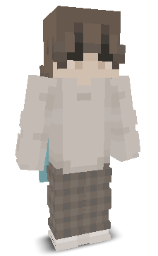 User's Minecraft appearance