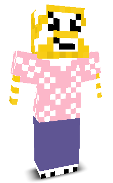 User's Minecraft appearance