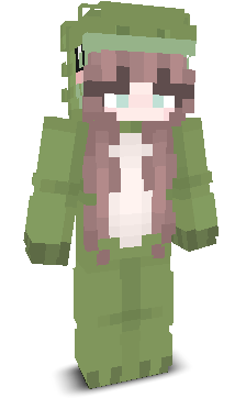 User's Minecraft appearance