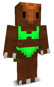 User's Minecraft appearance