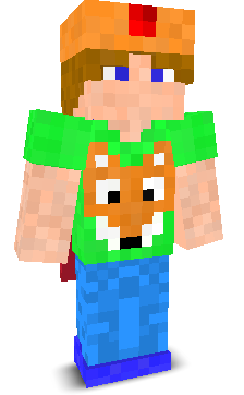 User's Minecraft appearance