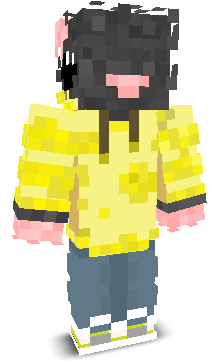 User's Minecraft appearance