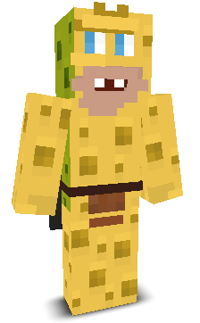 User's Minecraft appearance