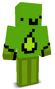 User's Minecraft appearance