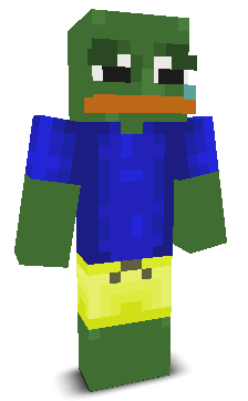User's Minecraft appearance