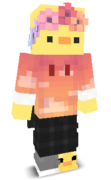 User's Minecraft appearance