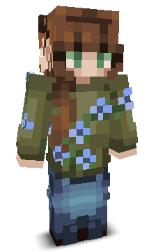 User's Minecraft appearance