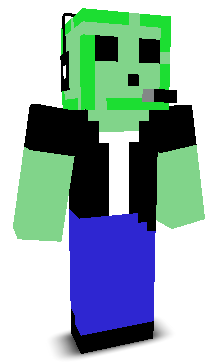 User's Minecraft appearance