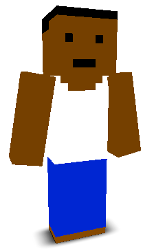 User's Minecraft appearance