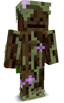 User's Minecraft appearance
